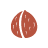 nuts-icon