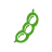 soy-icon