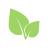 veggie-icon